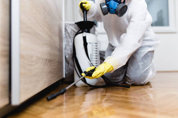 Best Rat Extermination Near Me  in Centrevle, IL