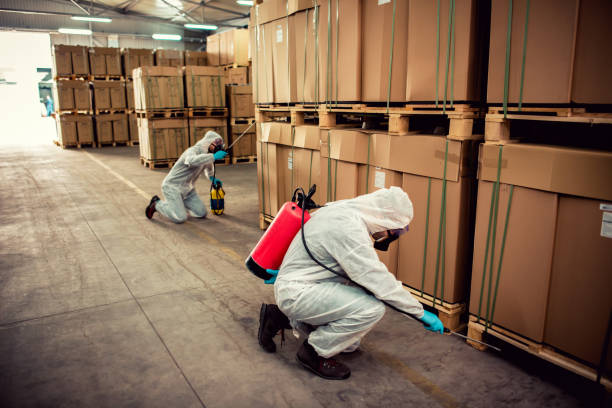 Trusted Centreville, IL Pest Control Experts