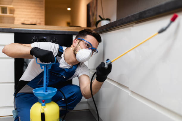 Best Pest Control Near Me  in Centrevle, IL