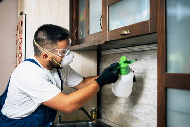 Best Flea Control Services  in Centrevle, IL