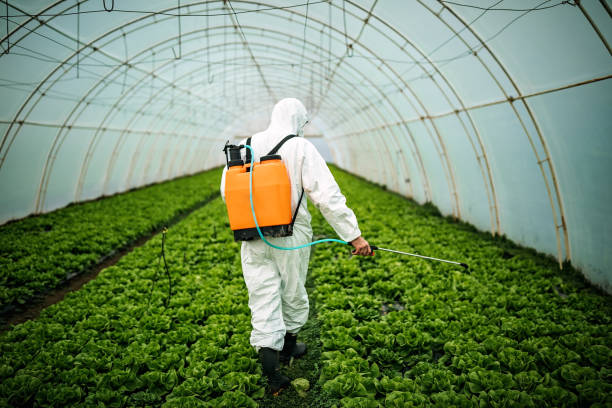 Best Local Pest Control Services  in Centrevle, IL