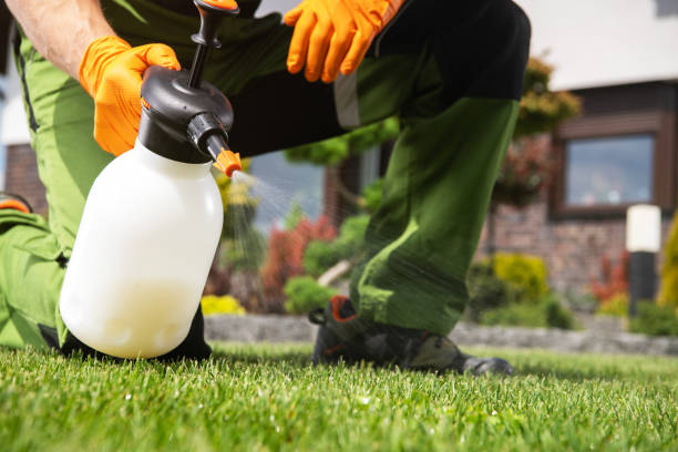 Flea Control Services in Centreville, IL