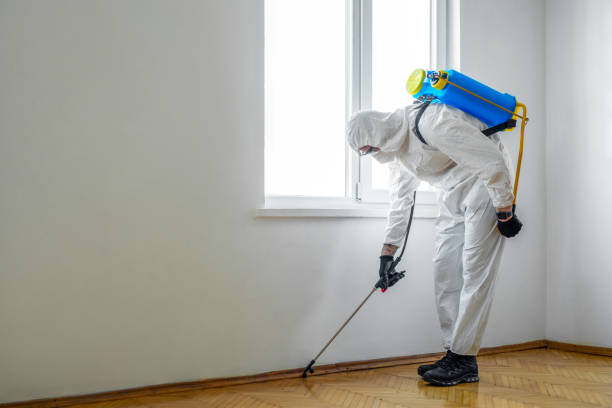 Best Commercial Pest Control Services  in Centrevle, IL
