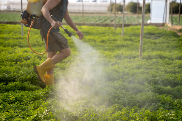 Best Exterminator Services  in Centrevle, IL