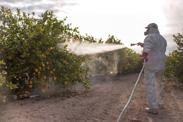 Best Best Pest Control Companies  in Centrevle, IL