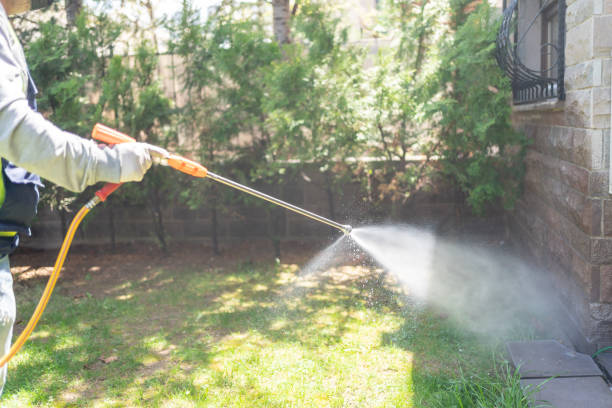 Best Bed Bug Extermination  in Centrevle, IL