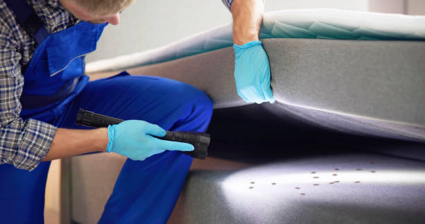 Best Bed Bug Extermination  in Centrevle, IL