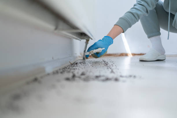 Best Flea Control Services  in Centrevle, IL