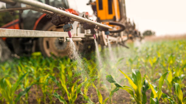 Best Pest Control Near Me  in Centrevle, IL