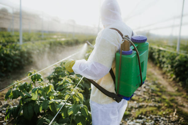 Best Pest Removal Services  in Centrevle, IL